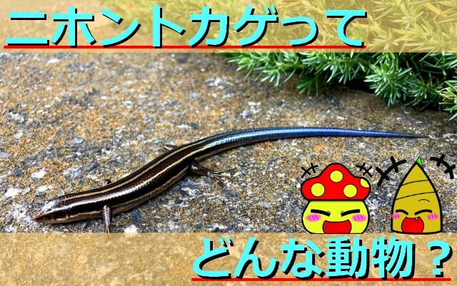 Thumbnail of post image 147